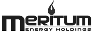 MERITUM ENERGY HOLDINGS