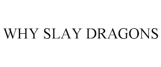 WHY SLAY DRAGONS