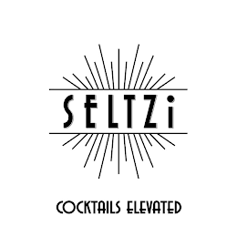 SELTZI COCKTAILS ELEVATED