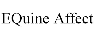 EQUINE AFFECT