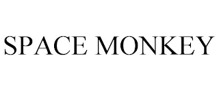 SPACE MONKEY