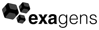 EXAGENS