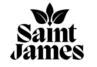 SAINT JAMES