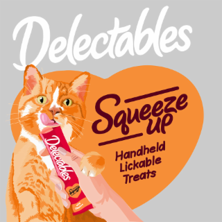 DELECTABLES SQUEEZE UP HANDHELD LICKABLE TREATS DELECTABLES SQUEEZE UP WITH CHICKEN