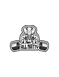 ALL NATTY