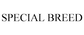 SPECIAL BREED