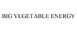 BIG VEGETABLE ENERGY