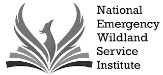 NATIONAL EMERGENCY WILDLAND SERVICE INSTITUTE