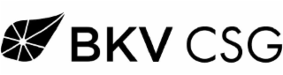 BKV CSG