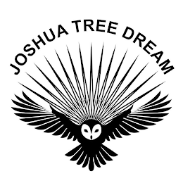 JOSHUA TREE DREAM