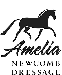 AMELIA NEWCOMB DRESSAGE