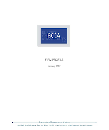 BCA BURGESS CHAMBERS & ASSOCIATES, INC. FIRM PROFILE JANUARY 2007