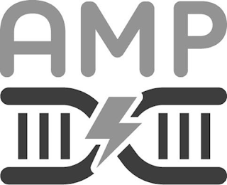 AMP