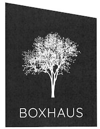BOXHAUS