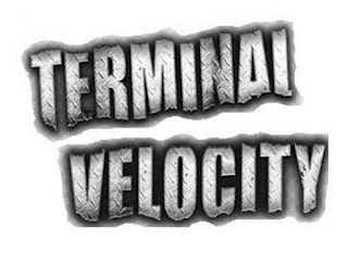 TERMINAL VELOCITY