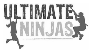 ULTIMATE NINJAS