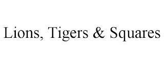 LIONS, TIGERS & SQUARES
