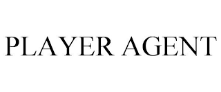 PLAYER AGENT