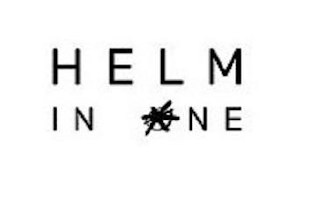 HELM IN ONE