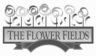 THE FLOWER FIELDS