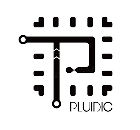 P PLUIDIC