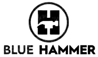 BLUE HAMMER H