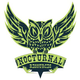 NOCTURNAL RESOURCES