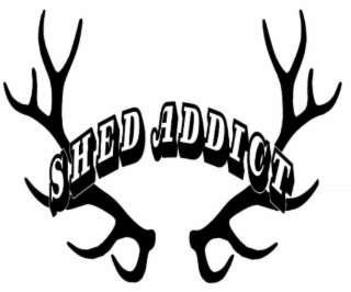 SHED ADDICT