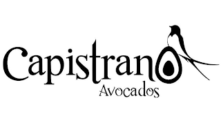 CAPISTRANO AVOCADOS