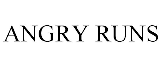 ANGRY RUNS