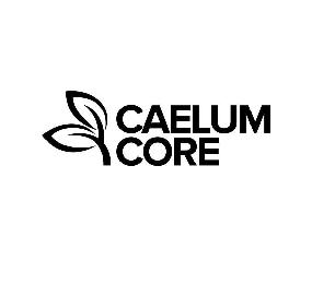 CAELUM CORE