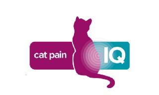 CAT PAIN IQ