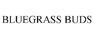 BLUEGRASS BUDS