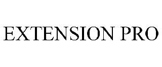EXTENSION PRO