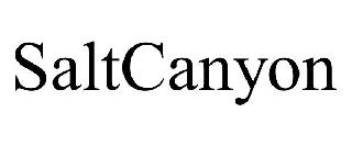 SALTCANYON