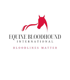 EQUINE BLOODHOUND INTERNATIONAL BLOODLINES MATTER