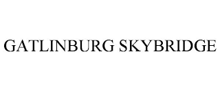 GATLINBURG SKYBRIDGE