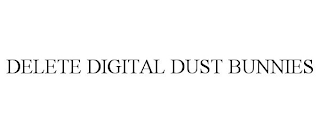 DELETE DIGITAL DUST BUNNIES