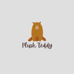 PLUSH TEDDY