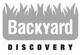 BACKYARD DISCOVERY
