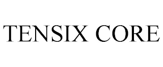 TENSIX CORE