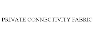 PRIVATE CONNECTIVITY FABRIC
