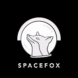 SPACEFOX
