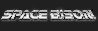 SPACE B.I.S.O.N.