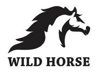 WILD HORSE