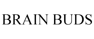 BRAIN BUDS