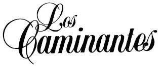 LOS CAMINANTES