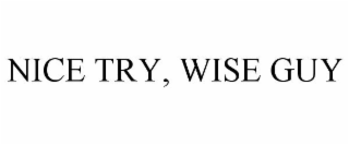 NICE TRY, WISE GUY