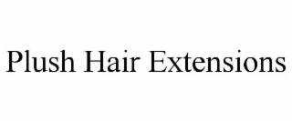 PLUSH HAIR EXTENSIONS