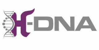 H-DNA